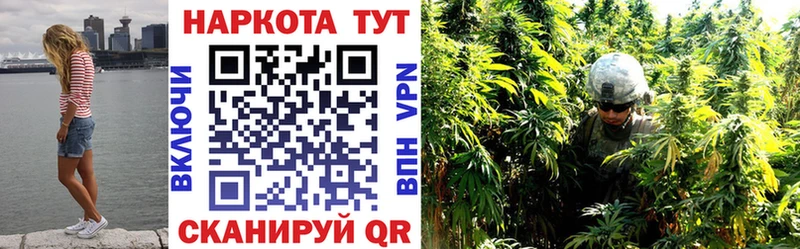 Где продают наркотики Зеленоградск АМФ  Вейп ТГК  ГАШИШ  Псилоцибиновые грибы  КОКАИН  Меф мяу мяу  Alpha PVP 