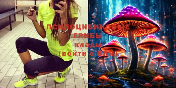 прущая мука Алзамай