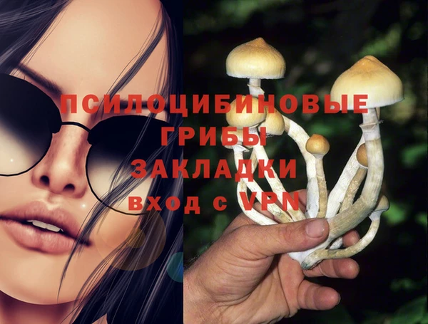 прущая мука Алзамай
