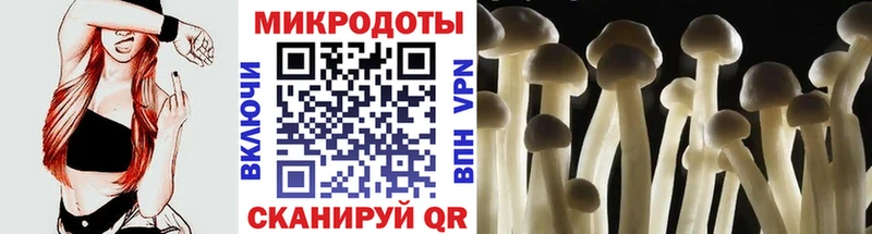 Галлюциногенные грибы прущие грибы  гидра зеркало  Зеленоградск 